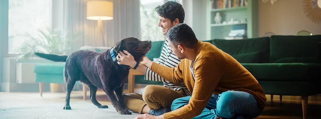 Two men petting a dog