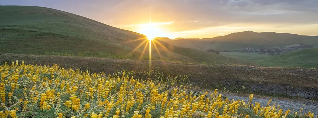 The sun peaking over a Californian horizon